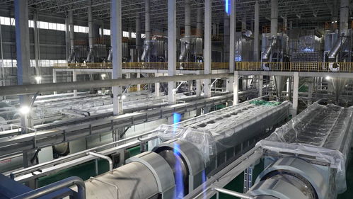 江安 长江岸线化工科技“绿”动，新质生产力澎湃生长